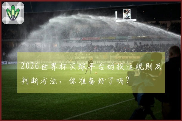 2026世界杯买球平台的投注规则及判断方法，你准备好了吗？