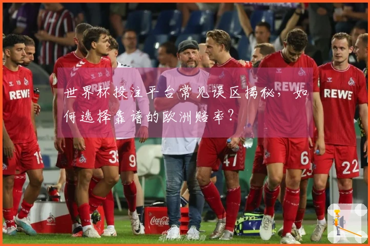 世界杯投注平台常见误区揭秘，如何选择靠谱的欧洲赔率？