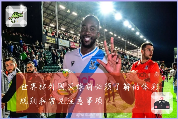 世界杯外围买球前必须了解的体彩规则和常见注意事项