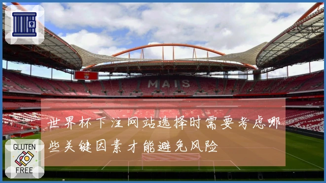 世界杯下注网站选择时需要考虑哪些关键因素才能避免风险