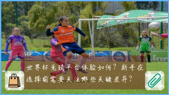 世界杯竞猜平台体验如何？新手在选择前需要关注哪些关键差异？