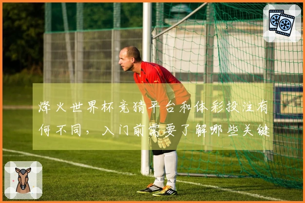 烽火世界杯竞猜平台和体彩投注有何不同，入门前需要了解哪些关键点