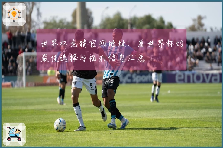世界杯竞猜官网地址：看世界杯的最佳选择与福利信息汇总