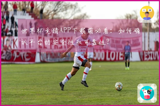 世界杯竞猜APP下载前必看：如何确认平台的安全性和可靠性？