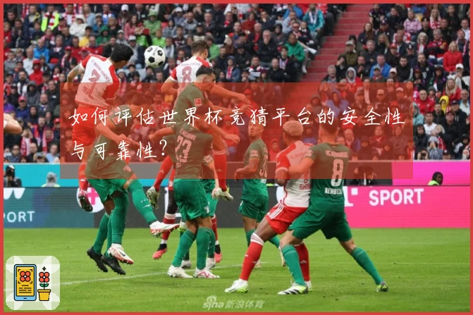 如何评估世界杯竞猜平台的安全性与可靠性？