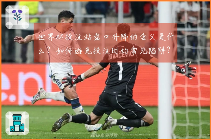 世界杯投注站盘口升降的含义是什么？如何避免投注时的常见陷阱？