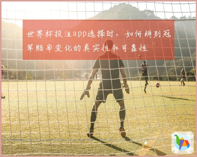 世界杯投注app选择时，如何辨别冠军赔率变化的真实性和可靠性