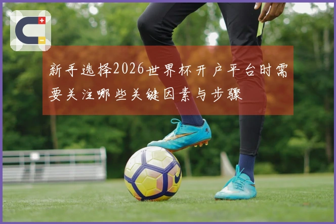 新手选择2026世界杯开户平台时需要关注哪些关键因素与步骤