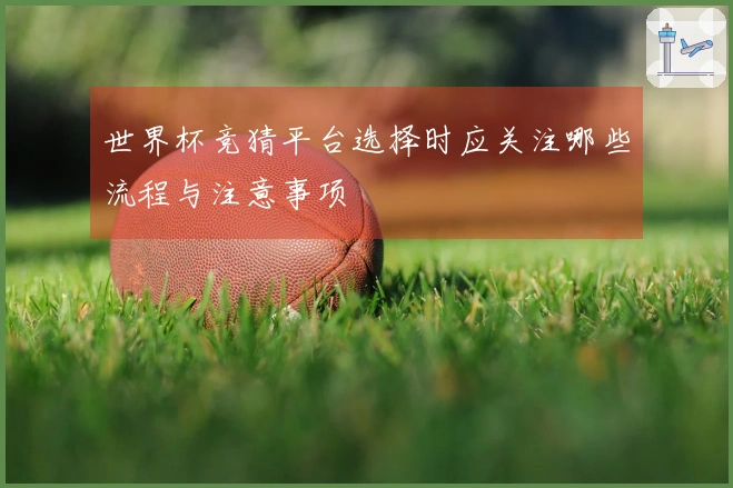 世界杯竞猜平台选择时应关注哪些流程与注意事项