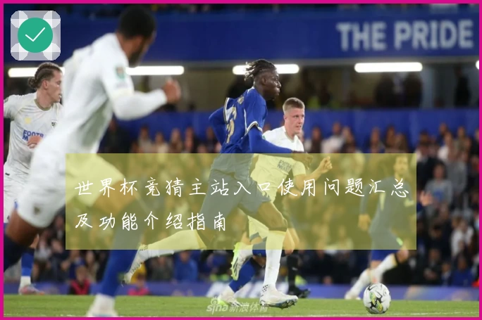 世界杯竞猜主站入口使用问题汇总及功能介绍指南