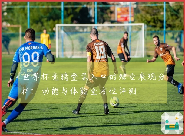 世界杯竞猜登录入口的综合表现分析：功能与体验全方位评测