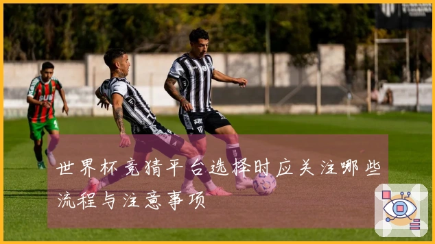 世界杯竞猜平台选择时应关注哪些流程与注意事项