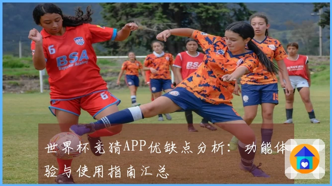 世界杯竞猜APP优缺点分析：功能体验与使用指南汇总